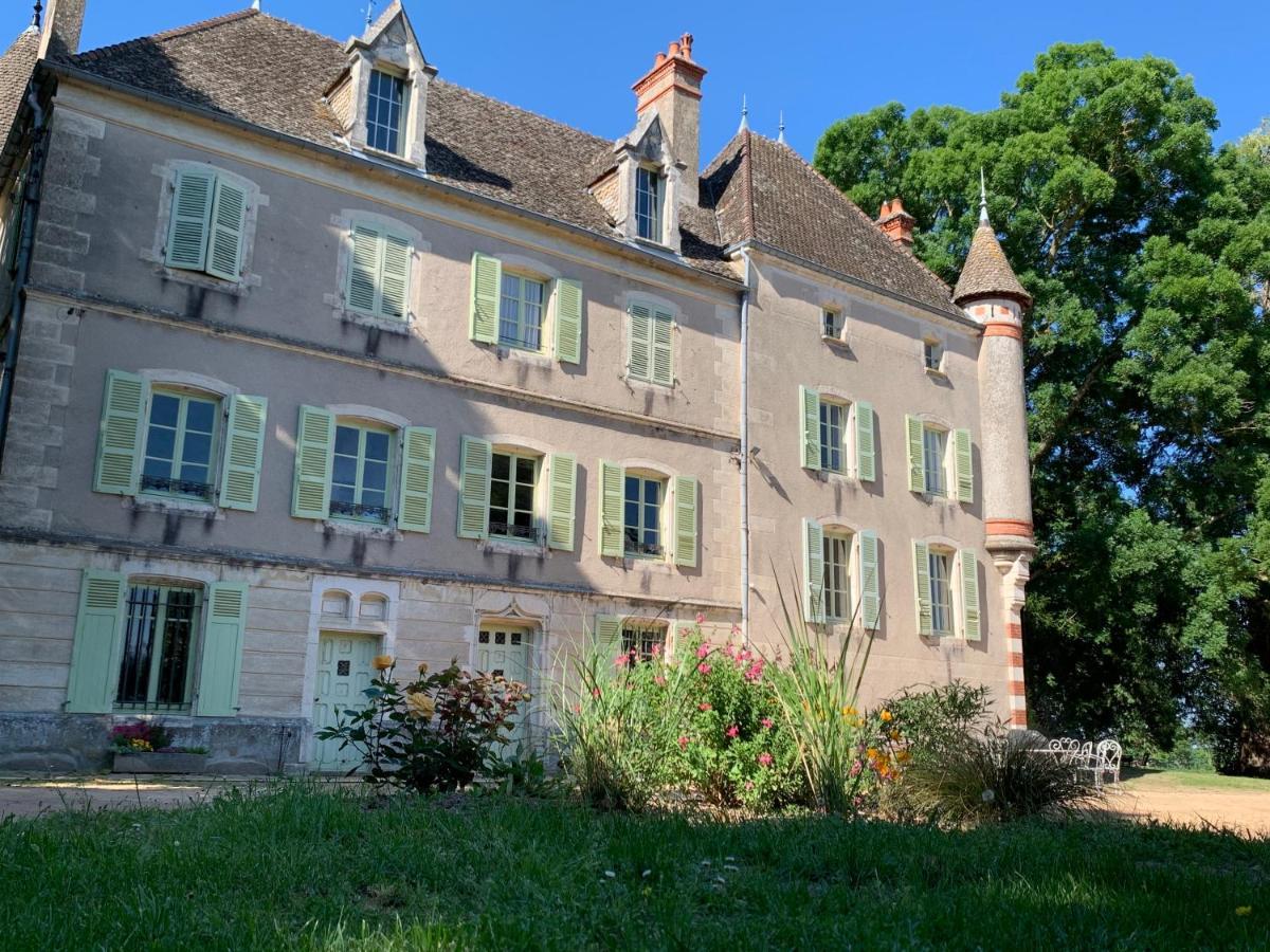Chateau Du Mauny, Gites Et Chambres D'Hotes En Bourgogne Rosey ภายนอก รูปภาพ