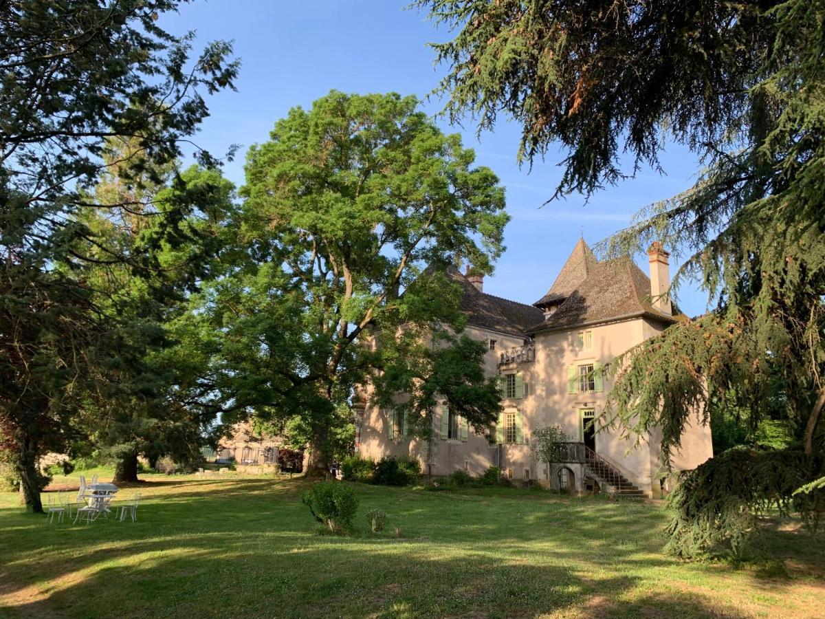 Chateau Du Mauny, Gites Et Chambres D'Hotes En Bourgogne Rosey ภายนอก รูปภาพ