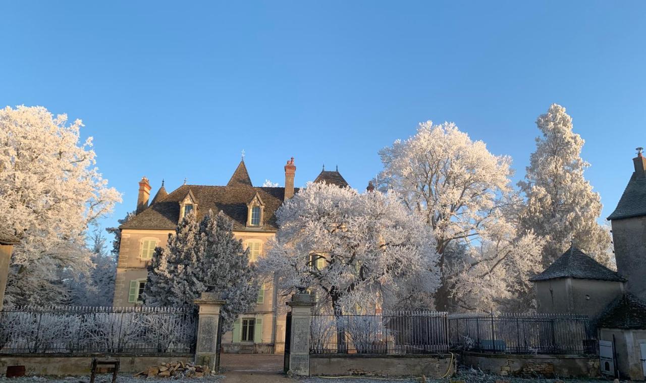 Chateau Du Mauny, Gites Et Chambres D'Hotes En Bourgogne Rosey ภายนอก รูปภาพ