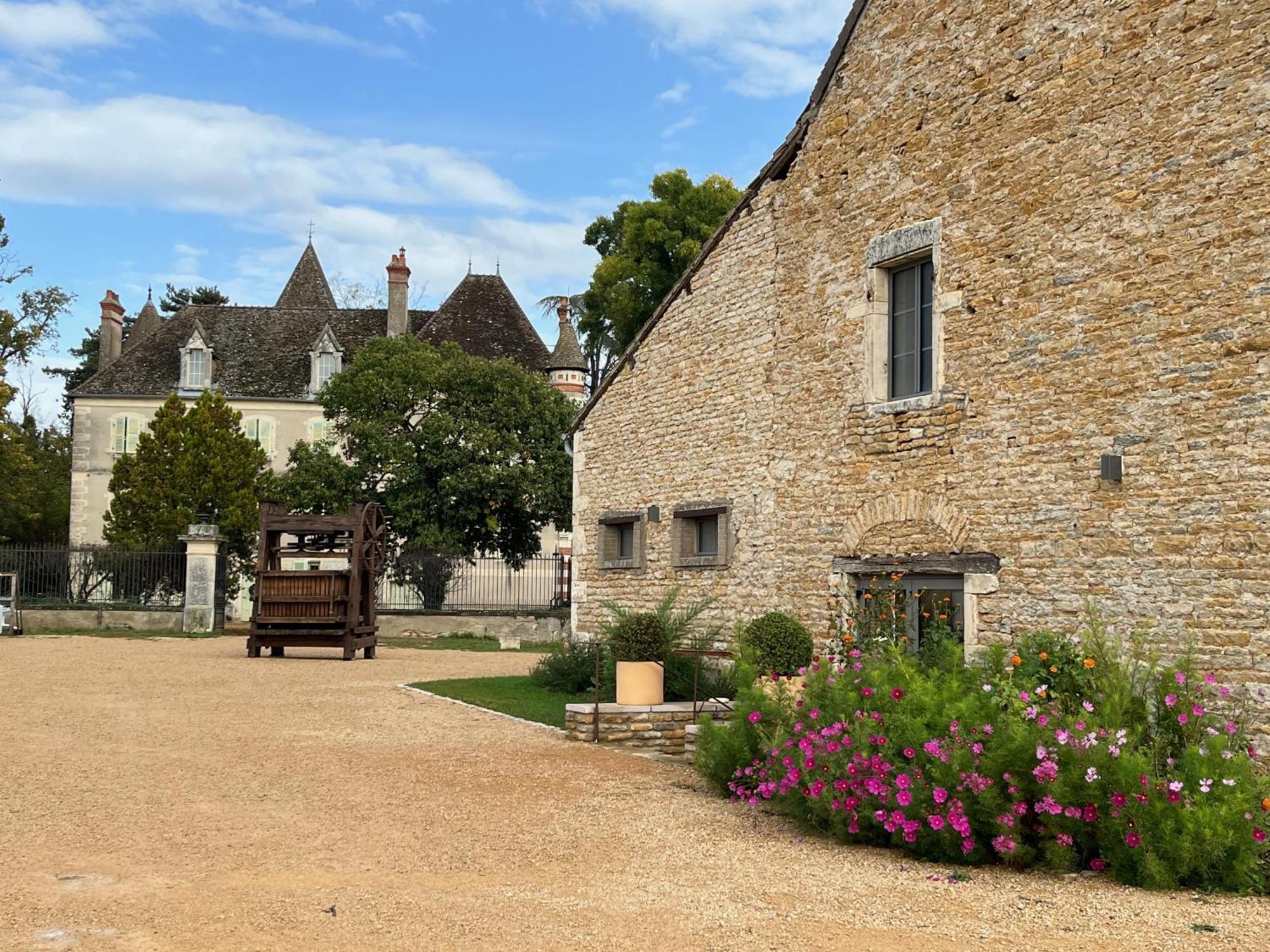 Chateau Du Mauny, Gites Et Chambres D'Hotes En Bourgogne Rosey ภายนอก รูปภาพ